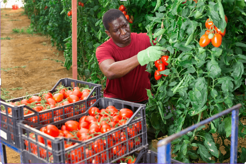 How to Increase Farming Efficiency